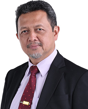 Prof Dr Wan M Nasir